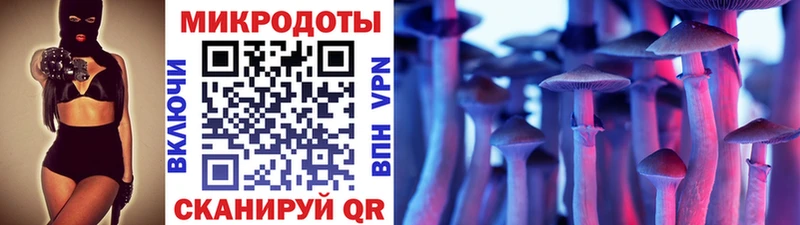 Галлюциногенные грибы Psilocybe  купить наркотик  сайты даркнета как зайти  Кимовск 